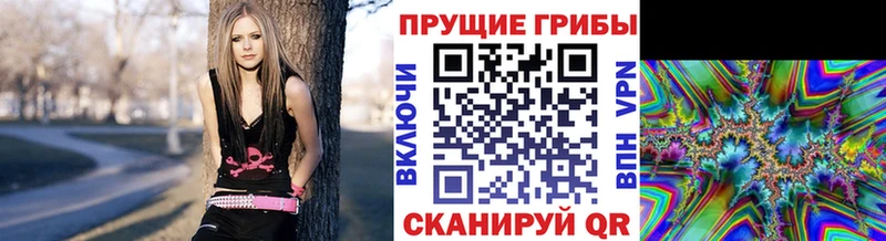 Псилоцибиновые грибы ЛСД  mega   Омск 